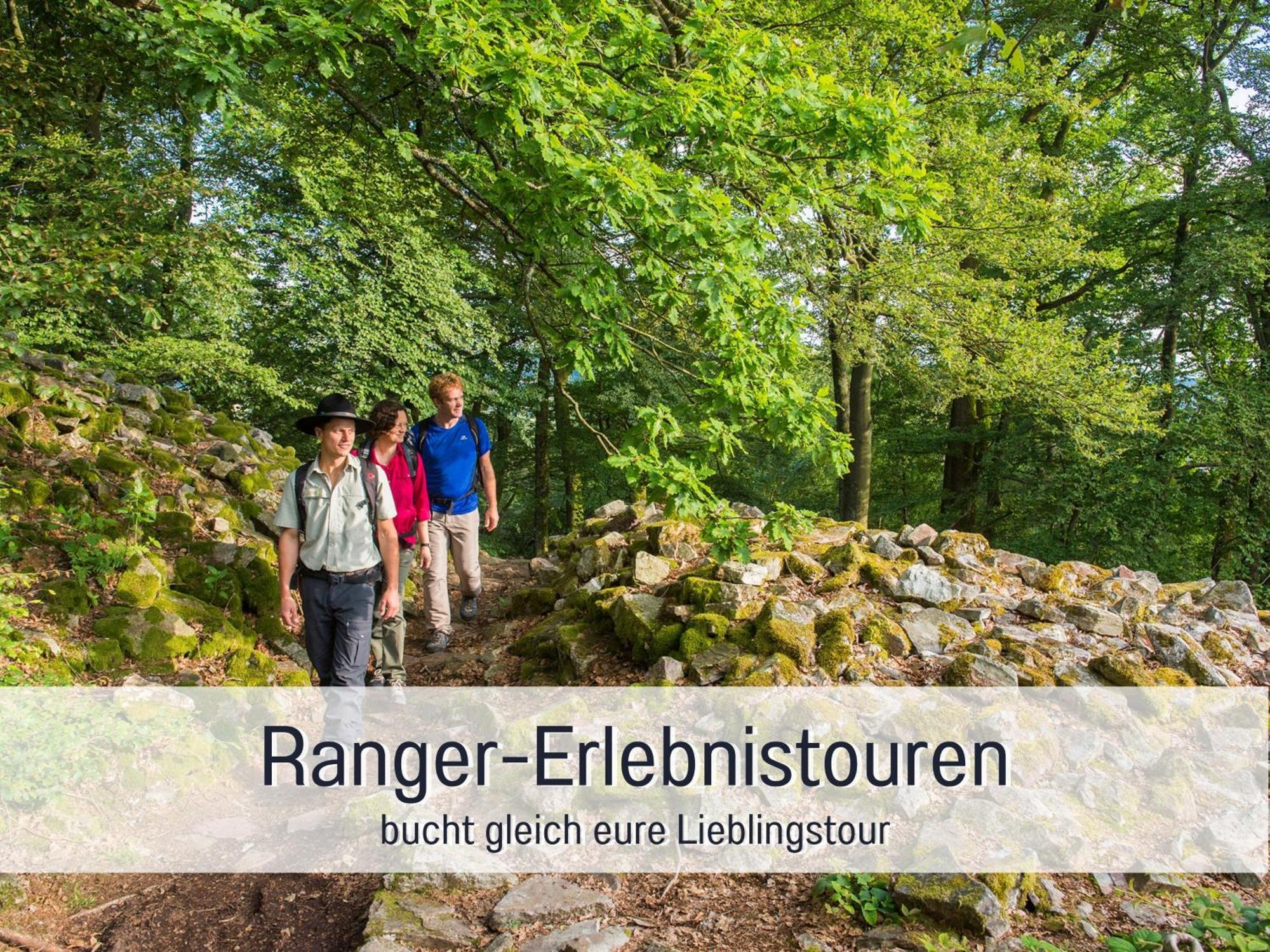Natur-Chalet Zum Nationalpark Marie-Luise Inkl E-Auto Allenbach Екстериор снимка